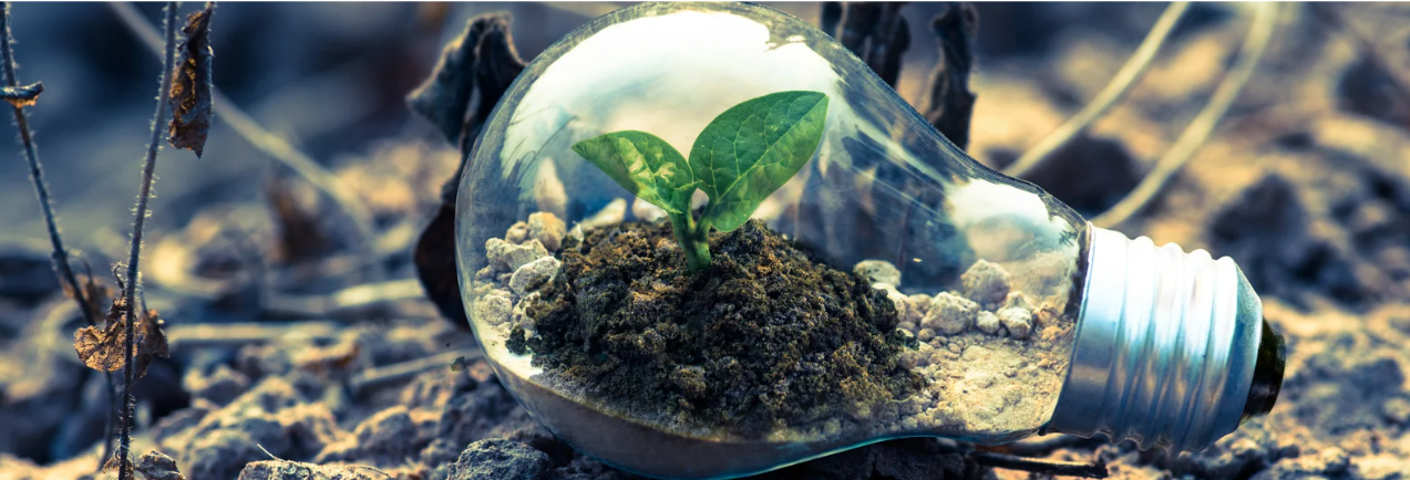 Screenshot 2025-11-07 160941